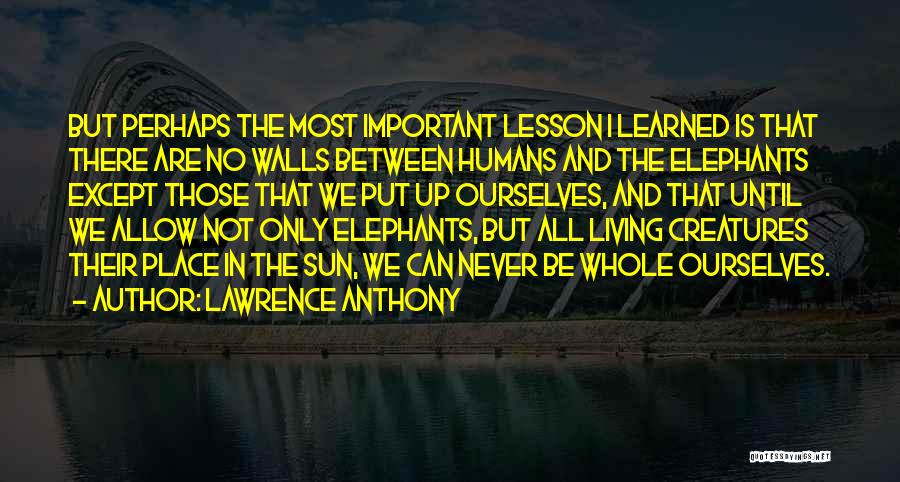 Lawrence Anthony Quotes: But Perhaps The Most Important Lesson I Learned Is That There Are No Walls Between Humans And The Elephants Except