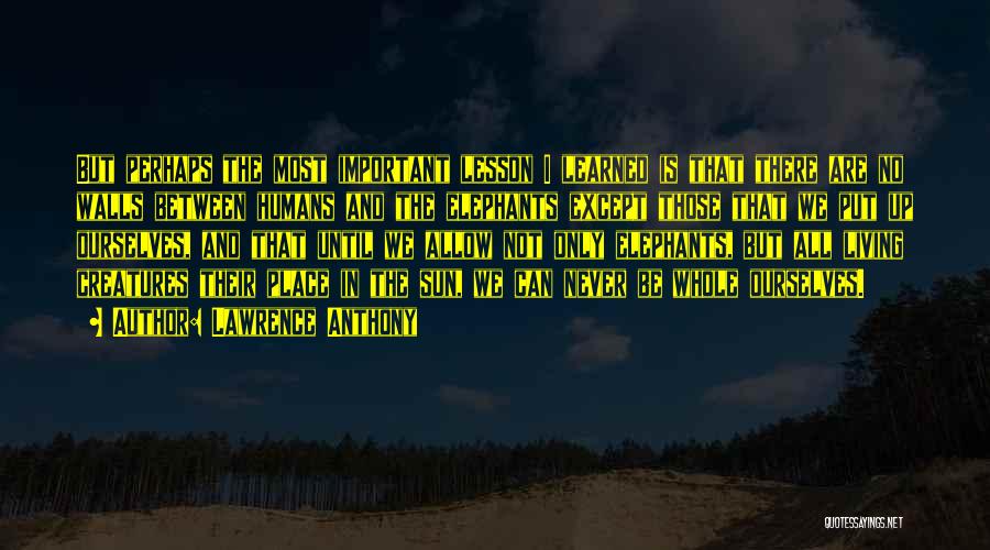 Lawrence Anthony Quotes: But Perhaps The Most Important Lesson I Learned Is That There Are No Walls Between Humans And The Elephants Except