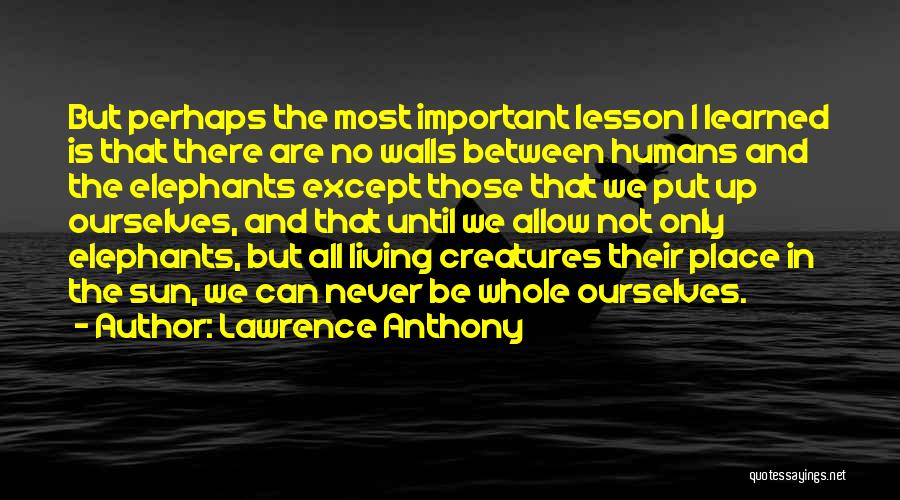 Lawrence Anthony Quotes: But Perhaps The Most Important Lesson I Learned Is That There Are No Walls Between Humans And The Elephants Except