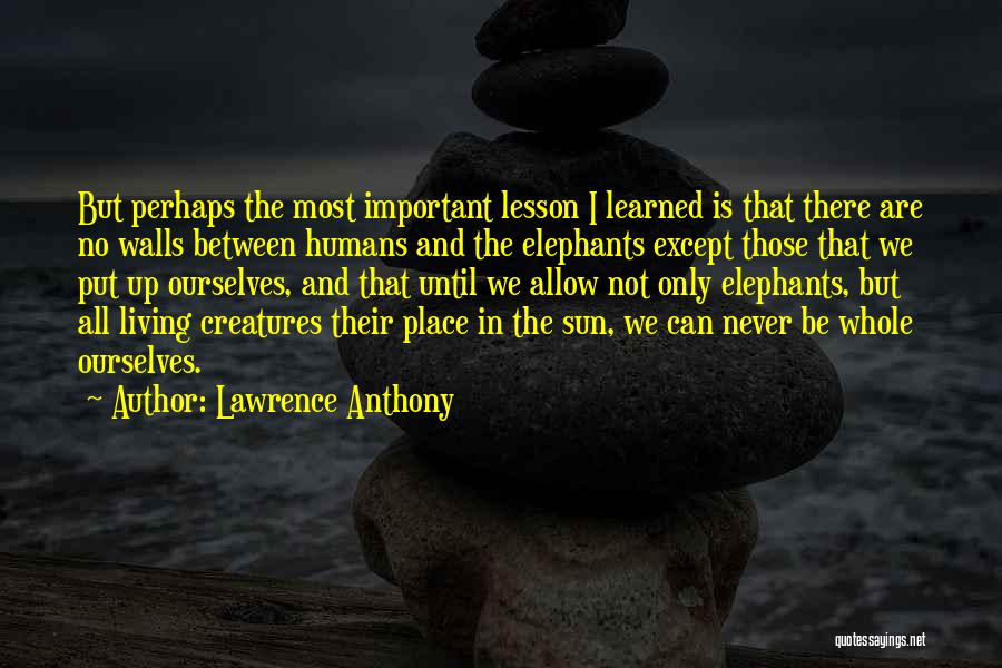 Lawrence Anthony Quotes: But Perhaps The Most Important Lesson I Learned Is That There Are No Walls Between Humans And The Elephants Except