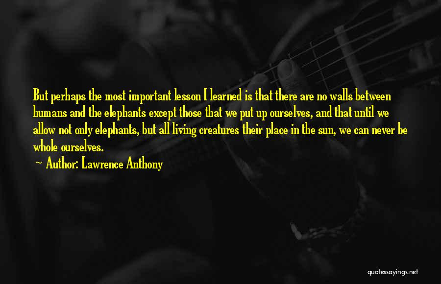 Lawrence Anthony Quotes: But Perhaps The Most Important Lesson I Learned Is That There Are No Walls Between Humans And The Elephants Except