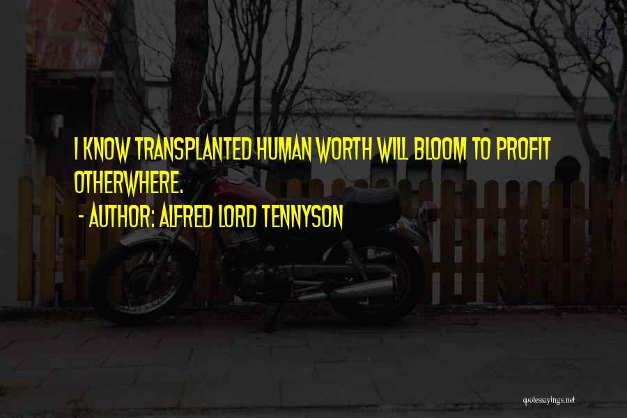 Alfred Lord Tennyson Quotes: I Know Transplanted Human Worth Will Bloom To Profit Otherwhere.
