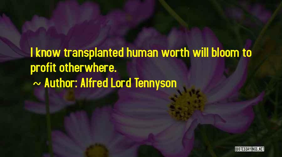 Alfred Lord Tennyson Quotes: I Know Transplanted Human Worth Will Bloom To Profit Otherwhere.