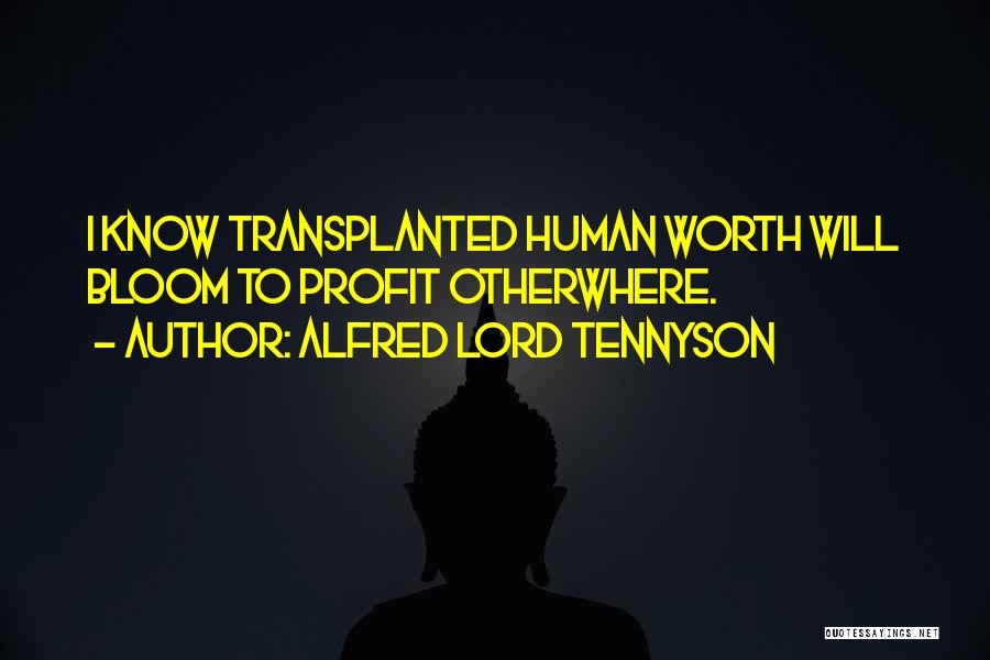 Alfred Lord Tennyson Quotes: I Know Transplanted Human Worth Will Bloom To Profit Otherwhere.