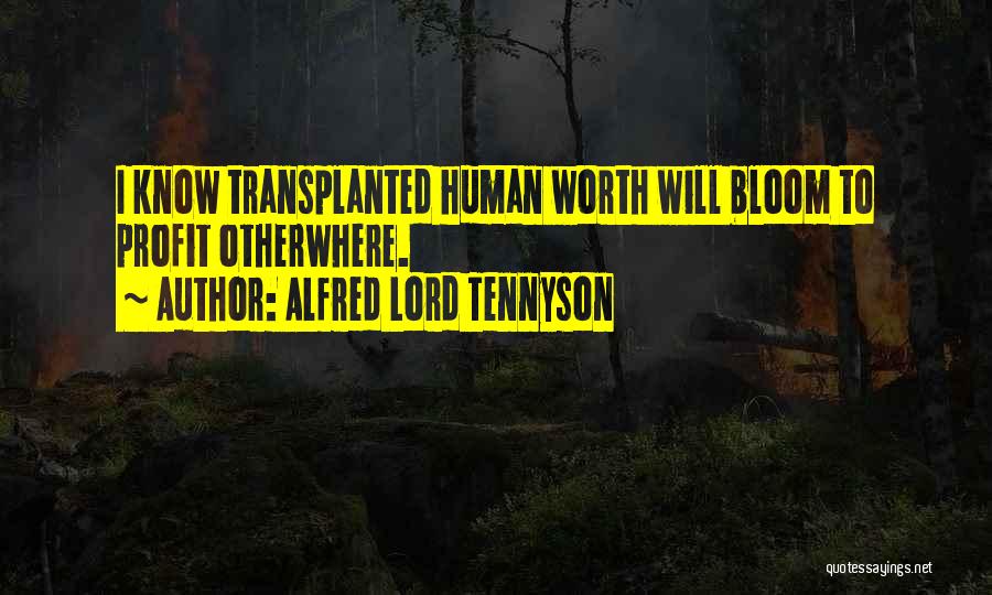Alfred Lord Tennyson Quotes: I Know Transplanted Human Worth Will Bloom To Profit Otherwhere.