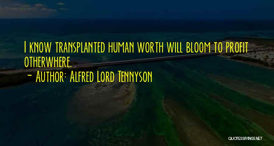 Alfred Lord Tennyson Quotes: I Know Transplanted Human Worth Will Bloom To Profit Otherwhere.