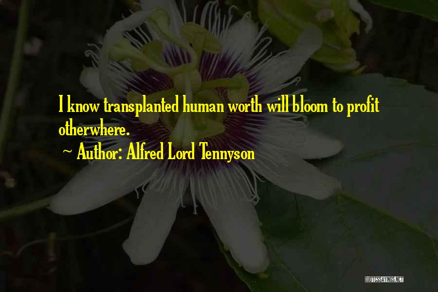 Alfred Lord Tennyson Quotes: I Know Transplanted Human Worth Will Bloom To Profit Otherwhere.