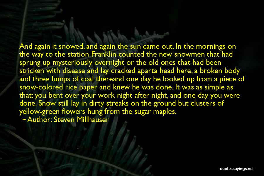 Steven Millhauser Quotes: And Again It Snowed, And Again The Sun Came Out. In The Mornings On The Way To The Station Franklin