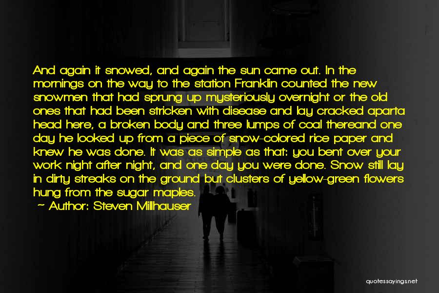 Steven Millhauser Quotes: And Again It Snowed, And Again The Sun Came Out. In The Mornings On The Way To The Station Franklin