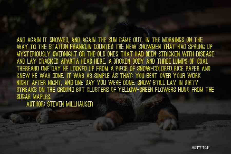 Steven Millhauser Quotes: And Again It Snowed, And Again The Sun Came Out. In The Mornings On The Way To The Station Franklin