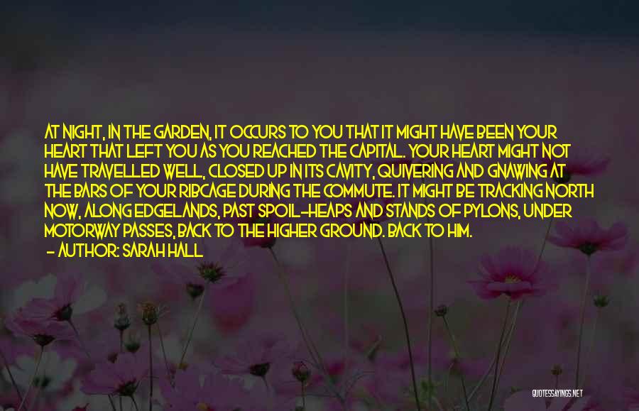 Sarah Hall Quotes: At Night, In The Garden, It Occurs To You That It Might Have Been Your Heart That Left You As
