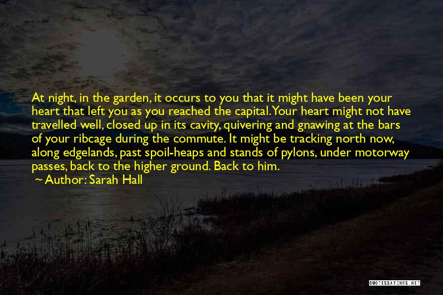 Sarah Hall Quotes: At Night, In The Garden, It Occurs To You That It Might Have Been Your Heart That Left You As