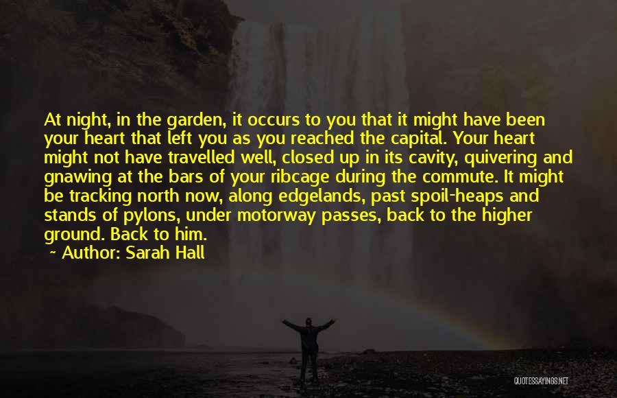 Sarah Hall Quotes: At Night, In The Garden, It Occurs To You That It Might Have Been Your Heart That Left You As