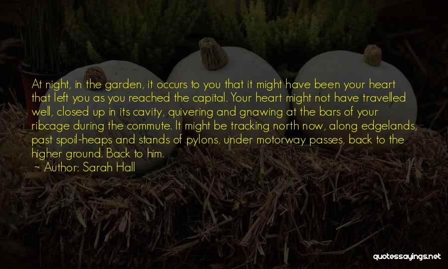 Sarah Hall Quotes: At Night, In The Garden, It Occurs To You That It Might Have Been Your Heart That Left You As