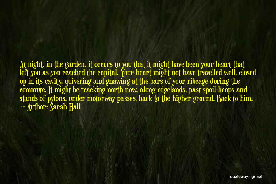 Sarah Hall Quotes: At Night, In The Garden, It Occurs To You That It Might Have Been Your Heart That Left You As
