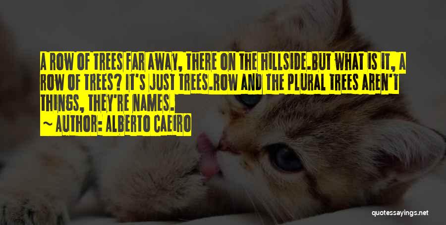 Alberto Caeiro Quotes: A Row Of Trees Far Away, There On The Hillside.but What Is It, A Row Of Trees? It's Just Trees.row