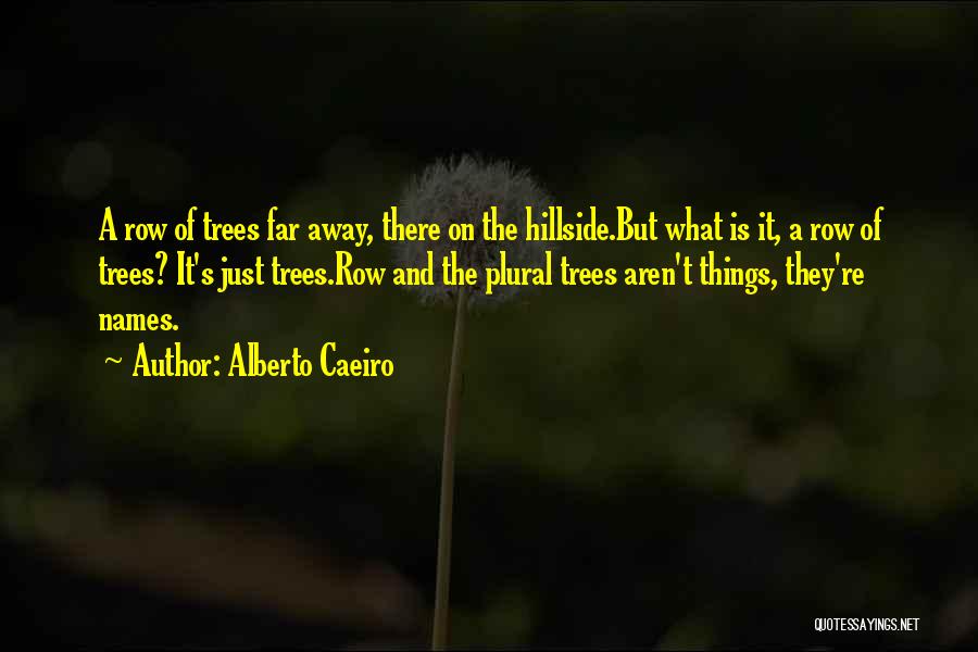 Alberto Caeiro Quotes: A Row Of Trees Far Away, There On The Hillside.but What Is It, A Row Of Trees? It's Just Trees.row