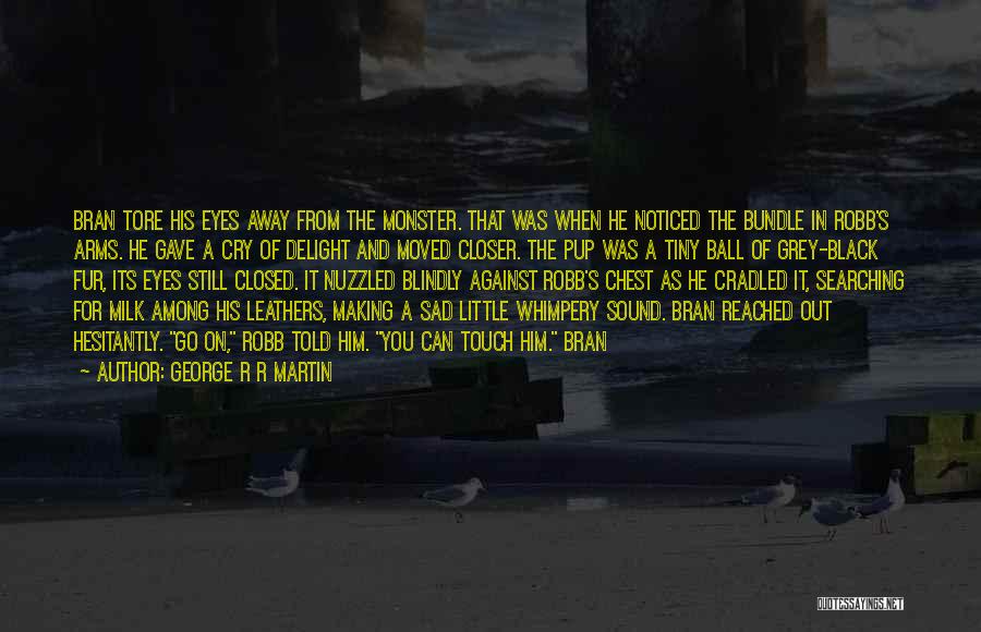 George R R Martin Quotes: Bran Tore His Eyes Away From The Monster. That Was When He Noticed The Bundle In Robb's Arms. He Gave