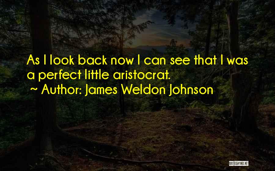 James Weldon Johnson Quotes: As I Look Back Now I Can See That I Was A Perfect Little Aristocrat.