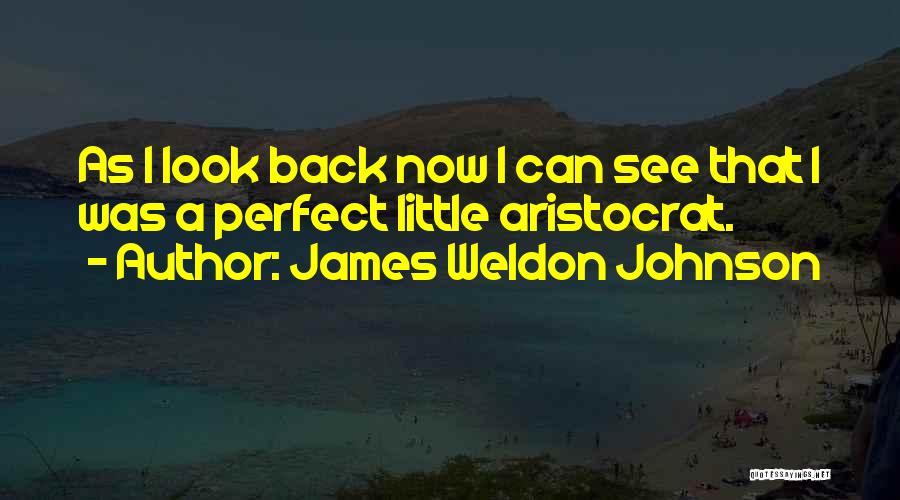 James Weldon Johnson Quotes: As I Look Back Now I Can See That I Was A Perfect Little Aristocrat.