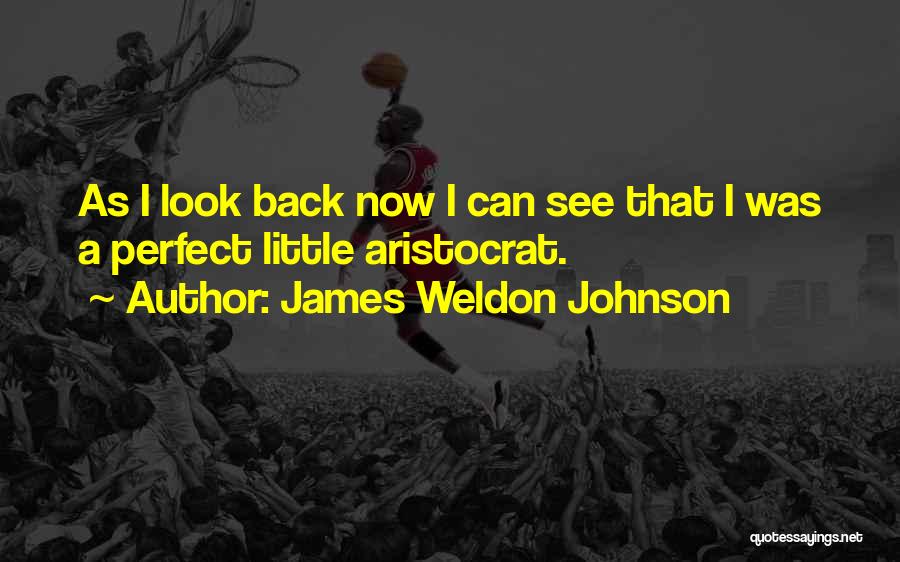 James Weldon Johnson Quotes: As I Look Back Now I Can See That I Was A Perfect Little Aristocrat.