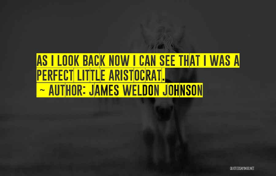 James Weldon Johnson Quotes: As I Look Back Now I Can See That I Was A Perfect Little Aristocrat.