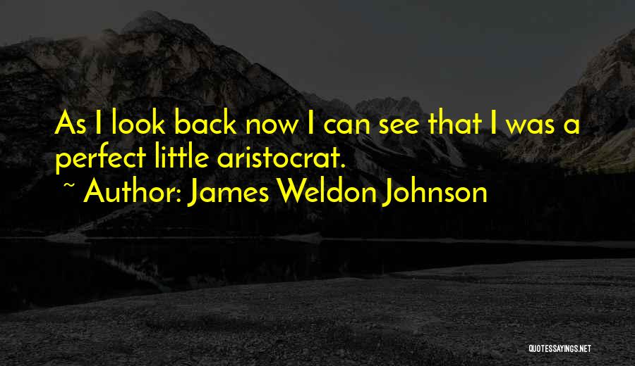 James Weldon Johnson Quotes: As I Look Back Now I Can See That I Was A Perfect Little Aristocrat.