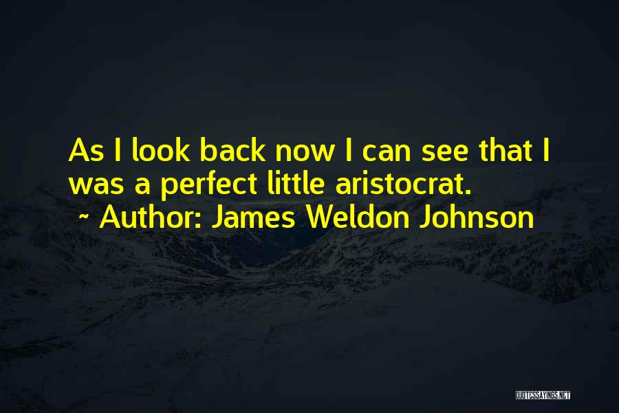 James Weldon Johnson Quotes: As I Look Back Now I Can See That I Was A Perfect Little Aristocrat.
