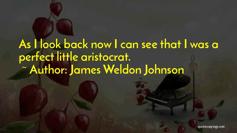 James Weldon Johnson Quotes: As I Look Back Now I Can See That I Was A Perfect Little Aristocrat.