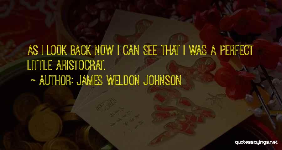 James Weldon Johnson Quotes: As I Look Back Now I Can See That I Was A Perfect Little Aristocrat.