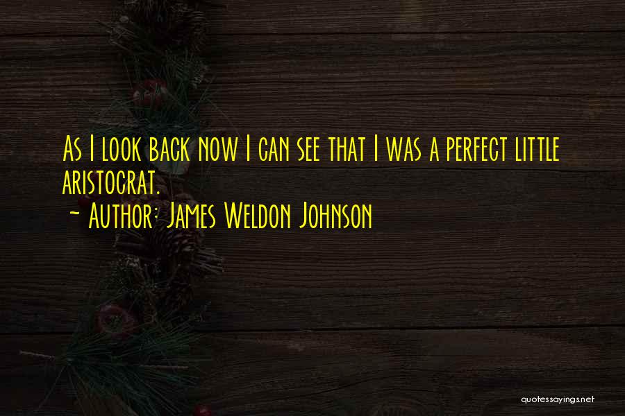 James Weldon Johnson Quotes: As I Look Back Now I Can See That I Was A Perfect Little Aristocrat.