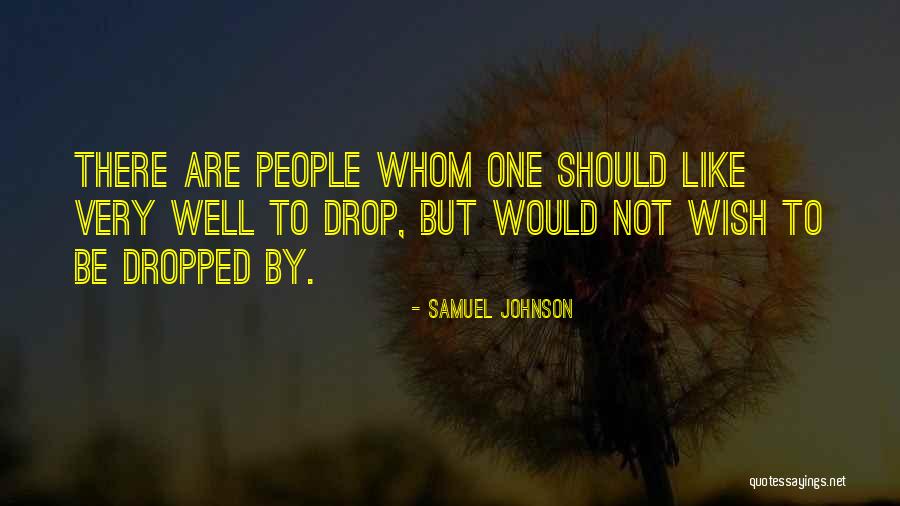 1765 Millimeters Quotes By Samuel Johnson