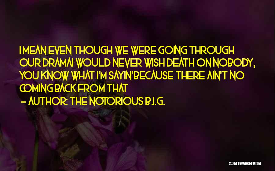 The Notorious B.I.G. Quotes: I Mean Even Though We Were Going Through Our Dramai Would Never Wish Death On Nobody, You Know What I'm