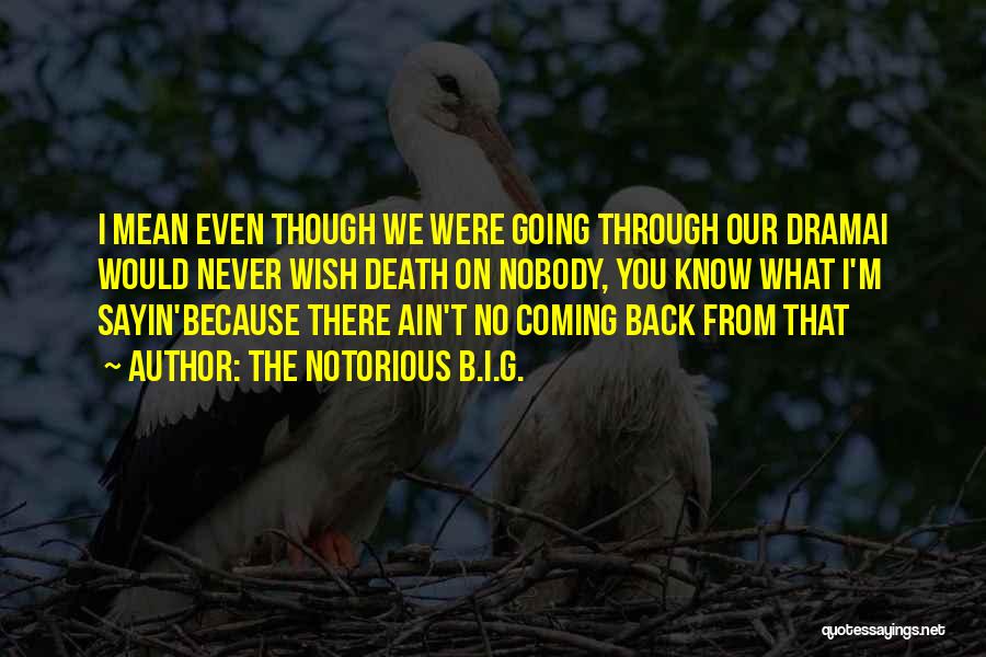 The Notorious B.I.G. Quotes: I Mean Even Though We Were Going Through Our Dramai Would Never Wish Death On Nobody, You Know What I'm