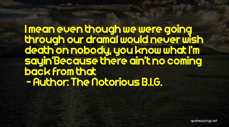 The Notorious B.I.G. Quotes: I Mean Even Though We Were Going Through Our Dramai Would Never Wish Death On Nobody, You Know What I'm