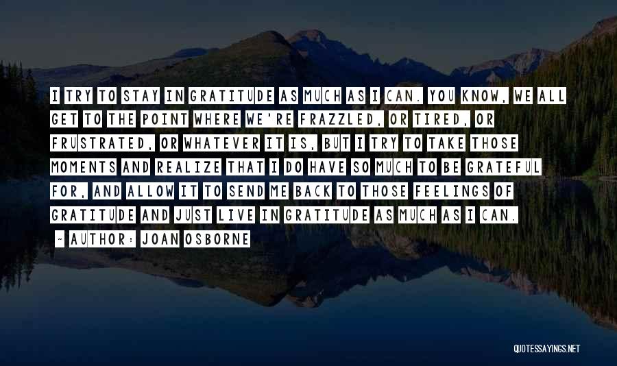 Joan Osborne Quotes: I Try To Stay In Gratitude As Much As I Can. You Know, We All Get To The Point Where