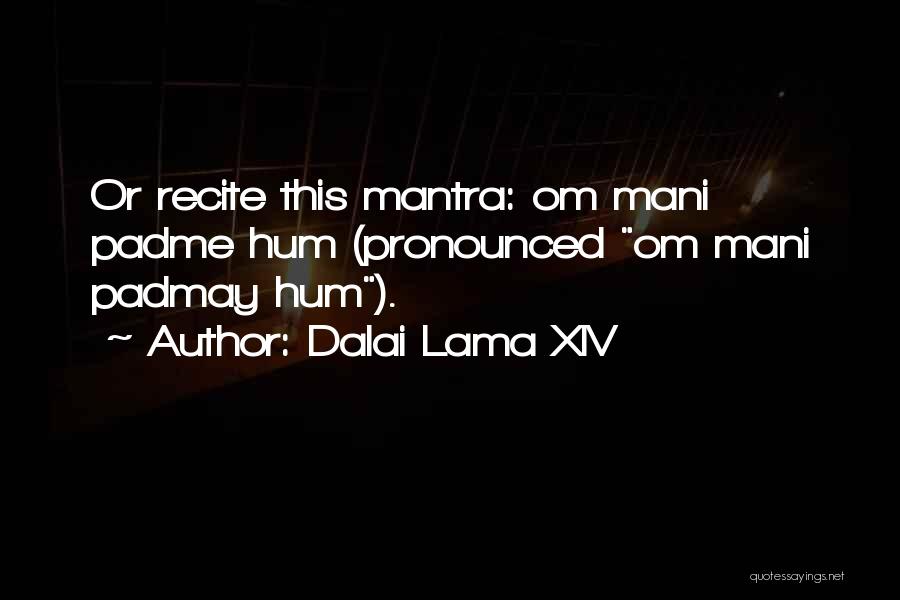 Dalai Lama XIV Quotes: Or Recite This Mantra: Om Mani Padme Hum (pronounced Om Mani Padmay Hum).