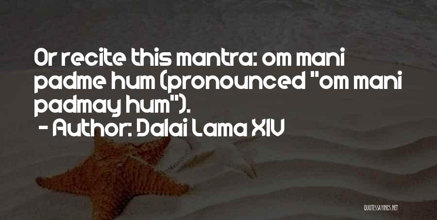 Dalai Lama XIV Quotes: Or Recite This Mantra: Om Mani Padme Hum (pronounced Om Mani Padmay Hum).