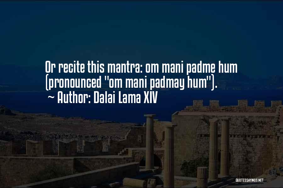 Dalai Lama XIV Quotes: Or Recite This Mantra: Om Mani Padme Hum (pronounced Om Mani Padmay Hum).