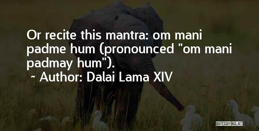 Dalai Lama XIV Quotes: Or Recite This Mantra: Om Mani Padme Hum (pronounced Om Mani Padmay Hum).