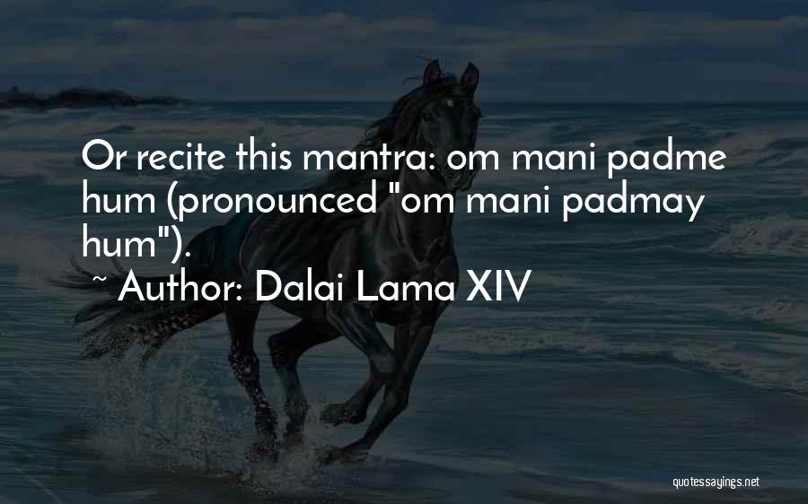 Dalai Lama XIV Quotes: Or Recite This Mantra: Om Mani Padme Hum (pronounced Om Mani Padmay Hum).