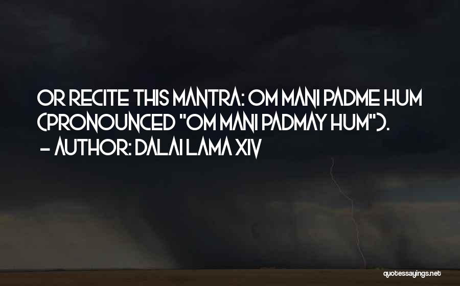 Dalai Lama XIV Quotes: Or Recite This Mantra: Om Mani Padme Hum (pronounced Om Mani Padmay Hum).