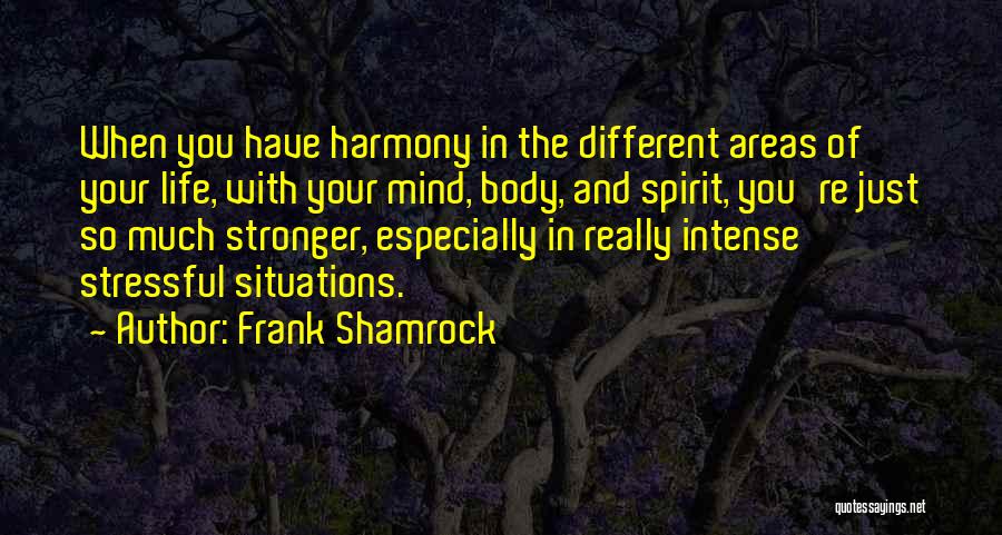 Frank Shamrock Quotes: When You Have Harmony In The Different Areas Of Your Life, With Your Mind, Body, And Spirit, You're Just So