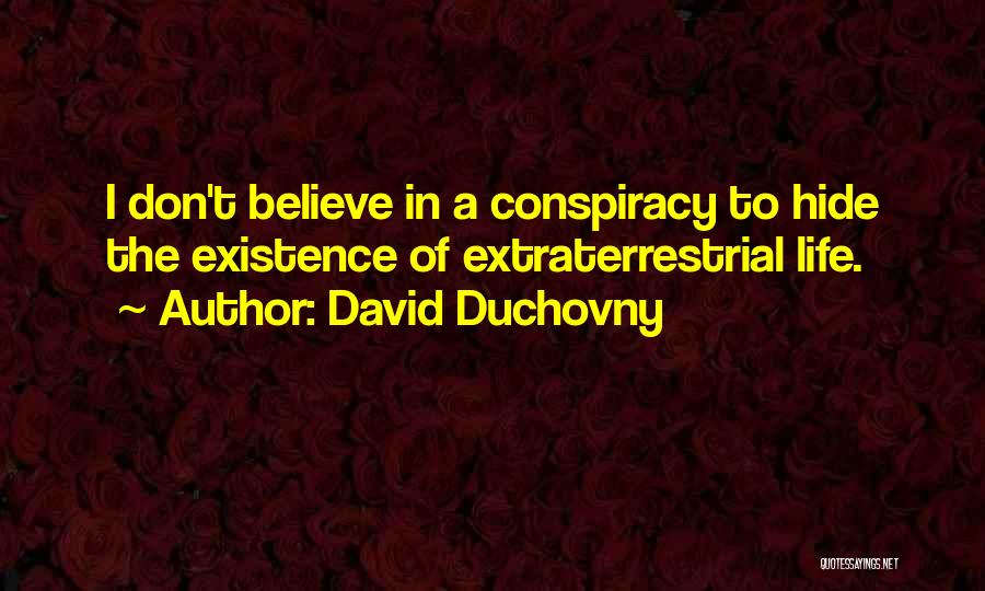 David Duchovny Quotes: I Don't Believe In A Conspiracy To Hide The Existence Of Extraterrestrial Life.