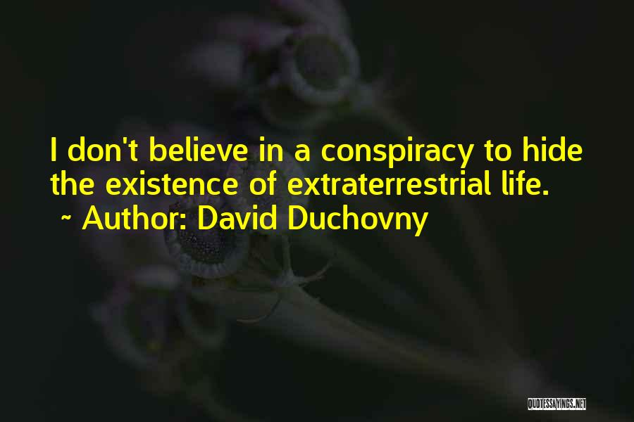 David Duchovny Quotes: I Don't Believe In A Conspiracy To Hide The Existence Of Extraterrestrial Life.
