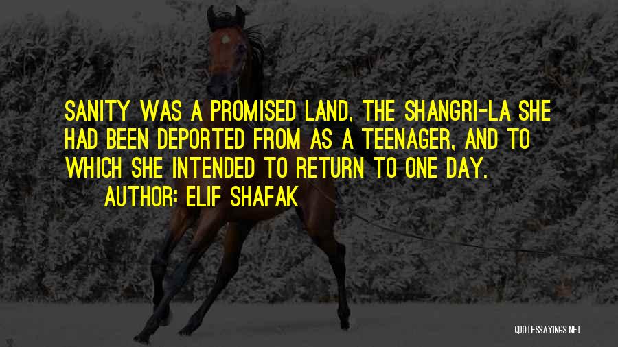Elif Shafak Quotes: Sanity Was A Promised Land, The Shangri-la She Had Been Deported From As A Teenager, And To Which She Intended