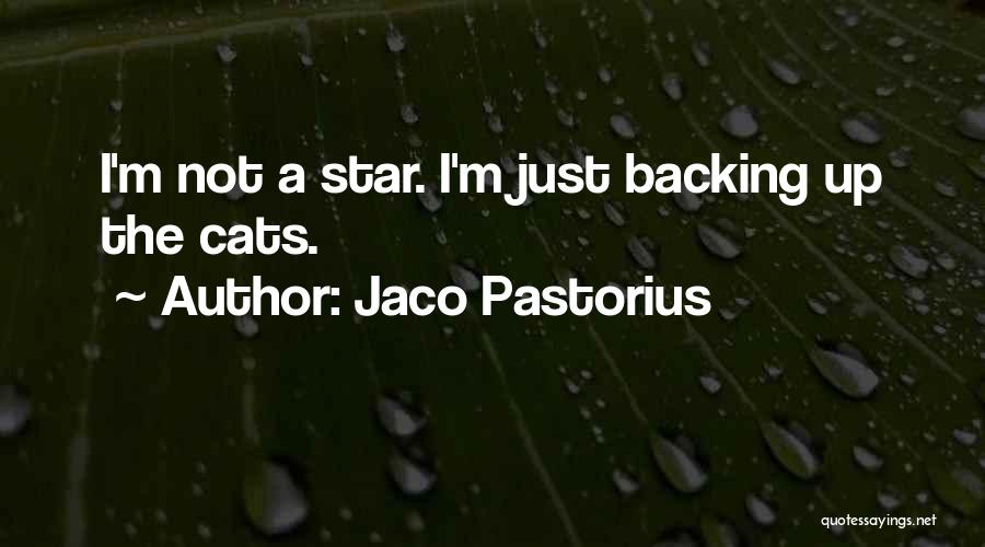 Jaco Pastorius Quotes: I'm Not A Star. I'm Just Backing Up The Cats.