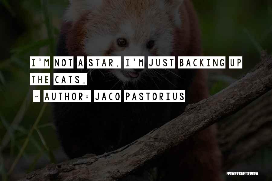 Jaco Pastorius Quotes: I'm Not A Star. I'm Just Backing Up The Cats.