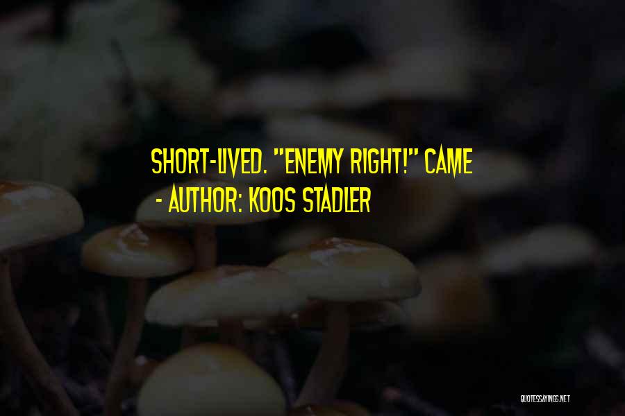 Koos Stadler Quotes: Short-lived. Enemy Right! Came