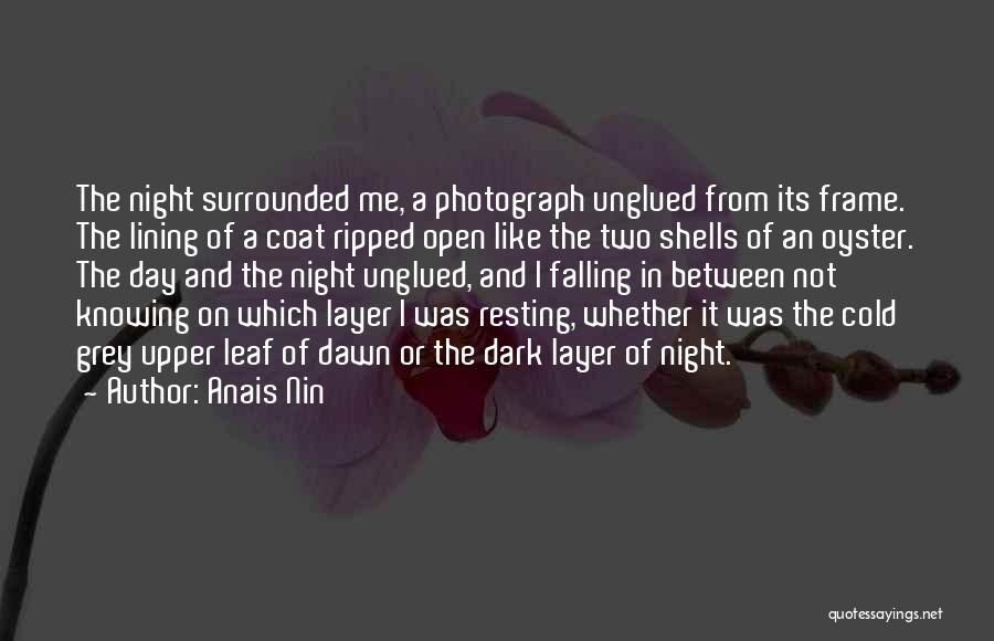 Anais Nin Quotes: The Night Surrounded Me, A Photograph Unglued From Its Frame. The Lining Of A Coat Ripped Open Like The Two